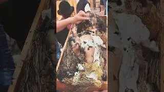 Una vela provoca incendio en iglesia matriz de Saraguro 😱 #saraguro #incendio #viralshort