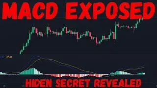 MACD Trading Strategy Didn't Work Till I Discover This Secret.