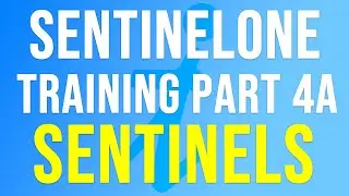 SentinelOne Training | Part 4a - SENTINELS