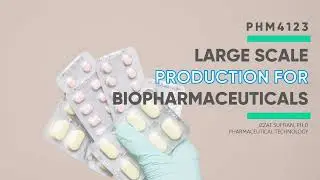 PHM4123 - Large Scale Production for Biopharmaceuticals