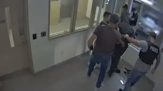 Successful Operation: Peel Regional Police Arrest Suspects in Stolen Vehicle Case
