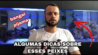 PEIXES INCR&Iacute;VEIS - CARDINAL BANGAI E PIJAMA