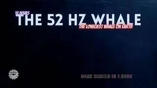Deep Sleep with the Enchanting 52Hz Whale Song 🌊😴 | Relaxing Ocean Sounds for Insomnia Relief #sleep