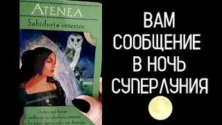 #Таро🔮 Лунное 🌕 Сообщение ✍️