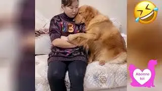 rire sans fin chat et chien dr&ocirc;les
