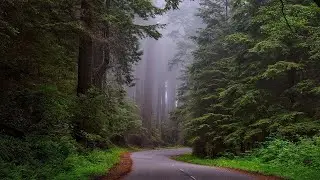 copyright free background music, mind relaxation music, music lab, healing music,