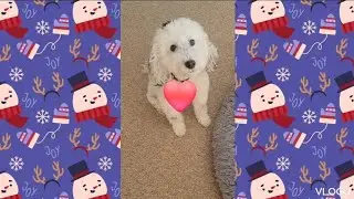Christmas Tea Advent Calendar! (Day 2.5)