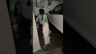 Bahut Khusi ❤️#lokie #shorts #comedyvideos #comedy