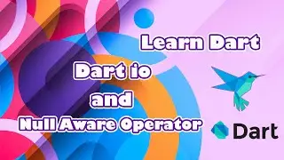 Dart - Dart io and Null Aware Operator