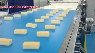Automated Layer Cake Packaging Masterclass Speed Meets Precision