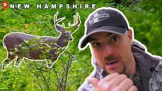 Northeast Deer Hunting | New Hampshire Opening Day 2020