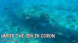 Travel: Under The Sea in Coron!  Our snorkeling adventure in Siete Pecados & Coral Garden [Music].