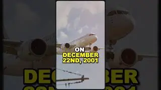 Sweaty Feet Foil Shoe Bomber's Plan on Flight! ✈️💥 #planes #security #facts