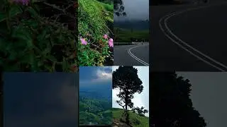 #viral #trending #nature #love #yt#fix#jutti