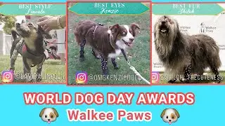 Vanderpump  | World Dog Day and Original  Walkee Paws dog leggings