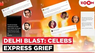 Delhi Red Fort Blast: Raveena Tandon, Sonu Sood, Vijay & other celebs express shock after 8 dead