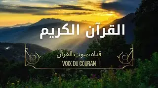 بث مباشر طويل 🌙 تلاوة خاشعة من سورة النور إلى سورة فاطر | بصوت محمد سايد