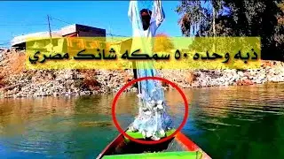 صيد الأسماك بالسليه في نهر القائد شلاله ناحيه القادسيه #عبدالله_الغزالي