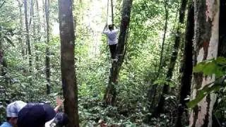 La caida de Juan