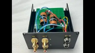 Dual Phono Amp (鮮花滿月樓)