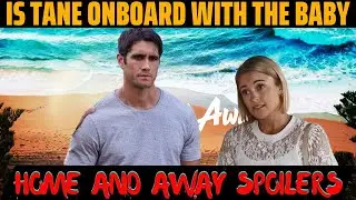 Home and Away spoilers: Is Tane onboard with the baby. | Home and away Spoilers