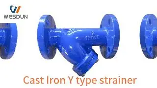 WESDUN Cast Iron Y type strainer