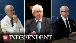 Covid inquiry roundup: Lee Cain and Dominic Cummings provide worrying insight into No 10