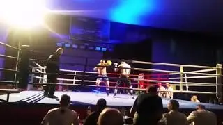 Triantafillos Alexandridis World Champion 2017 Poland Grand prix K-1