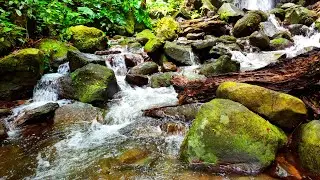 Most Calming Sound of Moss-Covered Rocky Mountain Water Stream - Meditation and Yoga Background