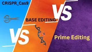 Comparing & Contrasting CRISPR-Cas9, Base Editing, and Prime Editing