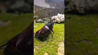 1. 
