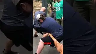 Lion vs Bodybuilders