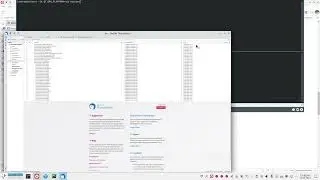 Kdocker на wayland через X11