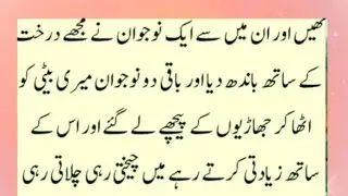 , heat touching story, sultan salahudeen Ayyubi is a great mnThe Sultan&rsquo;s Justice for a Mother&rsquo;s Cry