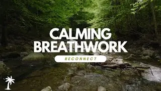 Calming Breathwork | Guided 5-minute Triangle Breath