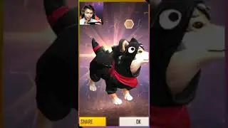 free fire rewards / Shiba pet rewards / Street fighter event reward / free fire new free rewards.
