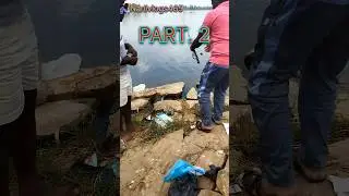 PART 2 Rohu fishing #nanivlogs465 #fishingvlog #rohufishing #guchaafishing
