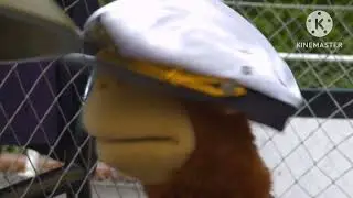 Milkshake Monkey Hitting The Bell Is So Funny!