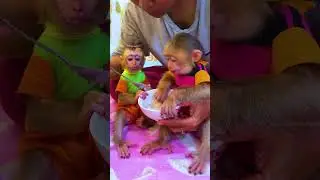 ChavChav And Porpor Eating Khmer Food