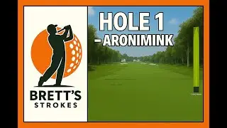 Aromimink gc hole 1 on a TRACKMAN...Help me get better!
