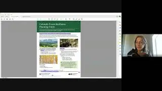 Colorado Forest Health Council, Committee on Leveraging Resources, October 20, 2025