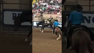 Adrenalin pur! Rodeoreiten hautnah &ndash; Bullenreiten in Action