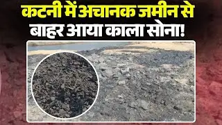 Katni Coal Discovery News: अचानक जमीन से बाहर आया काला सोना! प्रशासन ने किया सर्वे | Madhya Pradesh