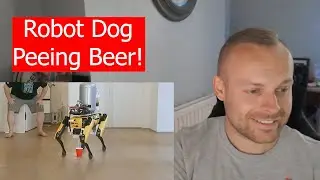 Rob Reacts to... Teaching a Robot Dog to Pee Beer
