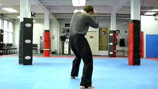 Combat Form XI (Gae-Bek)