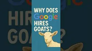 Why Does Google Hire Goats? 🐐💼 (The Weird Truth) #shorts #google #goats