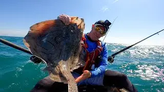 Kayak Fishing for Undulate Rays using live Mackerel | Kayak Fishing UK