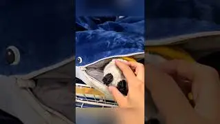 #adorably #funny #animals #pets #babyanimals #cuteanimal #penguin