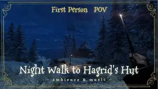 First person Winter night walk to Hagrids hut (Hogwarts Legacy)