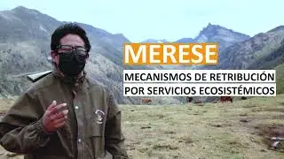 Merese en un &aacute;rea natural protegida que beneficiar&aacute; a la comunidad campesina de Miraflores